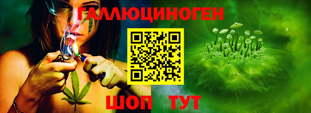 Галлюциногенные грибы GOLDEN TEACHER  Псилоцибиновые грибы ЛСД  Вход с VPN  Новоалтайск 